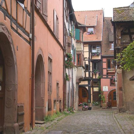 A Studio Apartment In Wine Grower'S House Riquewihr Exteriör bild