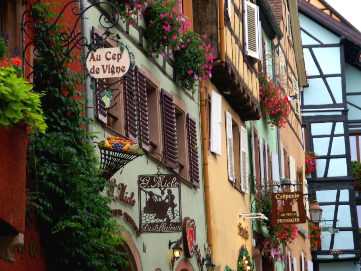 A Studio Apartment In Wine Grower'S House Riquewihr Exteriör bild