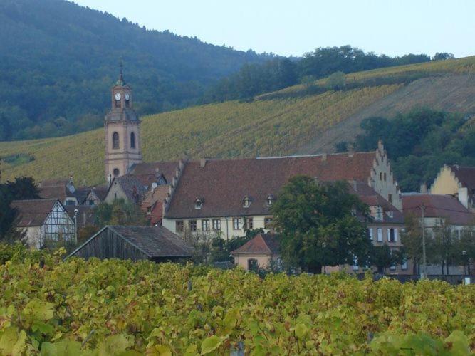 A Studio Apartment In Wine Grower'S House Riquewihr Exteriör bild