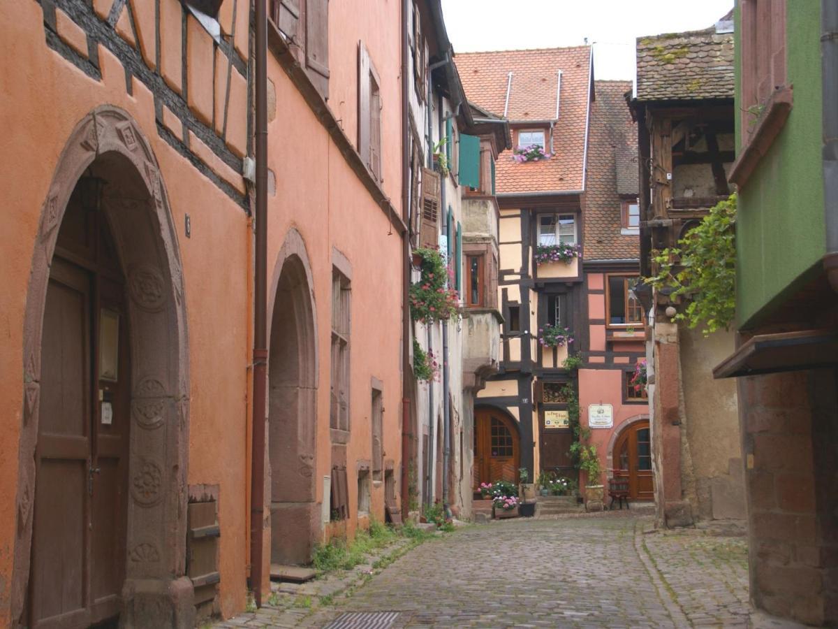 A Studio Apartment In Wine Grower'S House Riquewihr Exteriör bild