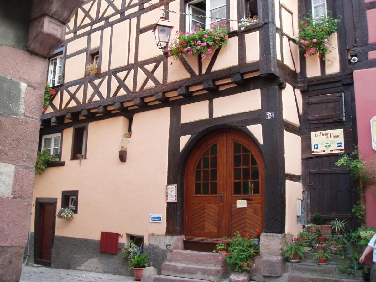 A Studio Apartment In Wine Grower'S House Riquewihr Exteriör bild