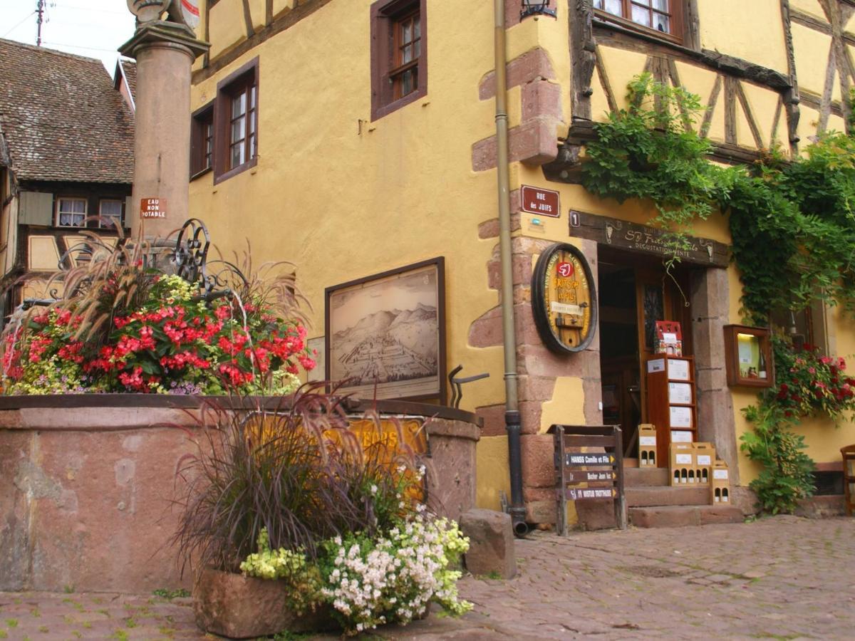 A Studio Apartment In Wine Grower'S House Riquewihr Exteriör bild